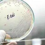 3 toksyczne produkty z Biedronki i Lidla: dlaczego wciąż je kupujemy?