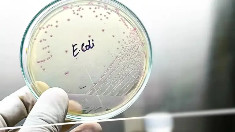 3 toksyczne produkty z Biedronki i Lidla: dlaczego wciąż je kupujemy?