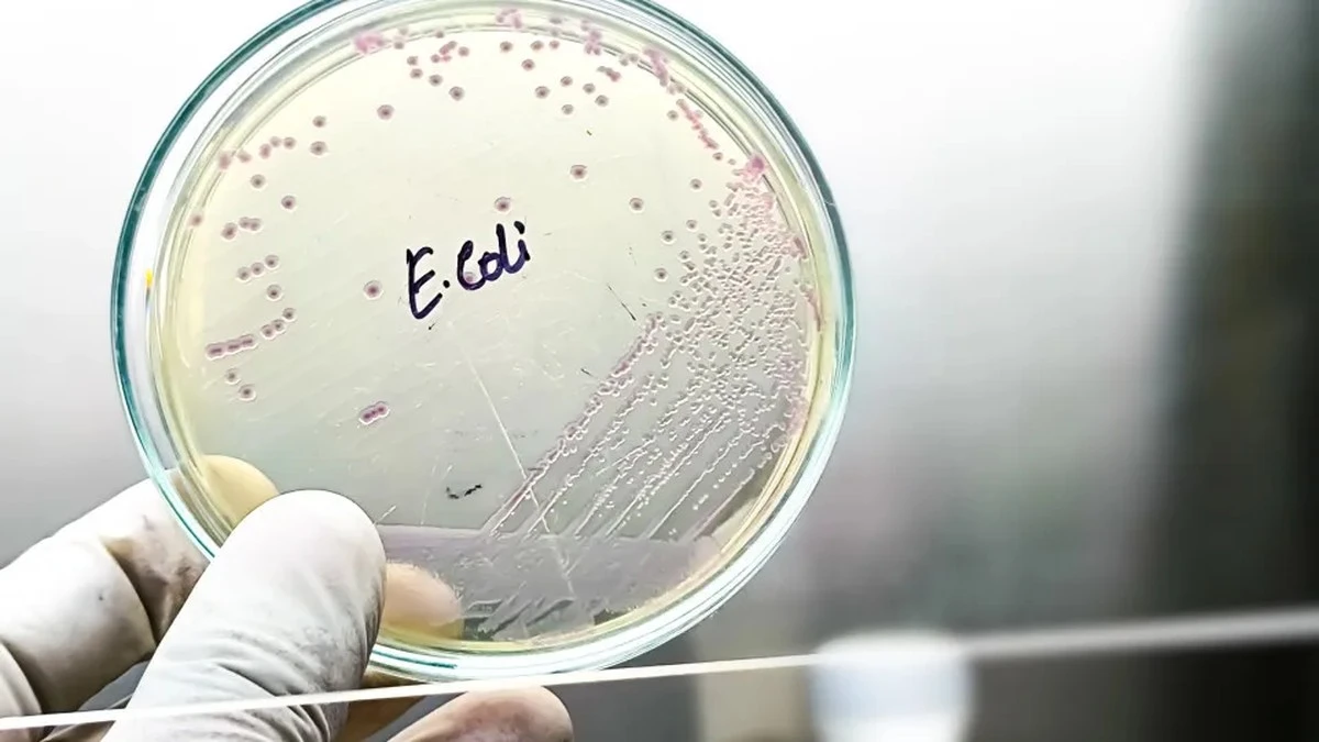 3 toksyczne produkty z Biedronki i Lidla: dlaczego wciąż je kupujemy?