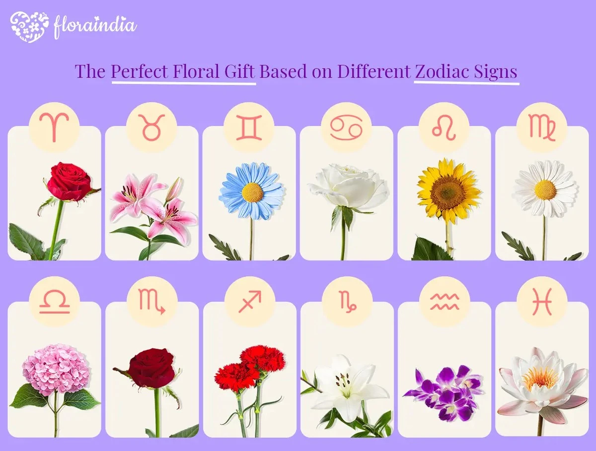 Astrologiczny kod miłości: te kwiaty w lutym 2026 skradną serce Twojej połówki - image 1