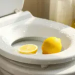 Biała ceramika bez chemii: 2 tanie metody na czysty toaletę