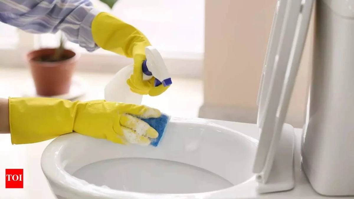 Dlaczego coraz więcej osób owija krany papierem toaletowym i zalewa je octem - image 1