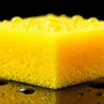 Dlaczego doświadczone gospodynie co niedzielę wyrzucają gąbkę do naczyń