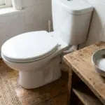 Dlaczego doświadczone gospodynie wrzucają ząbek czosnku do toalety przed snem