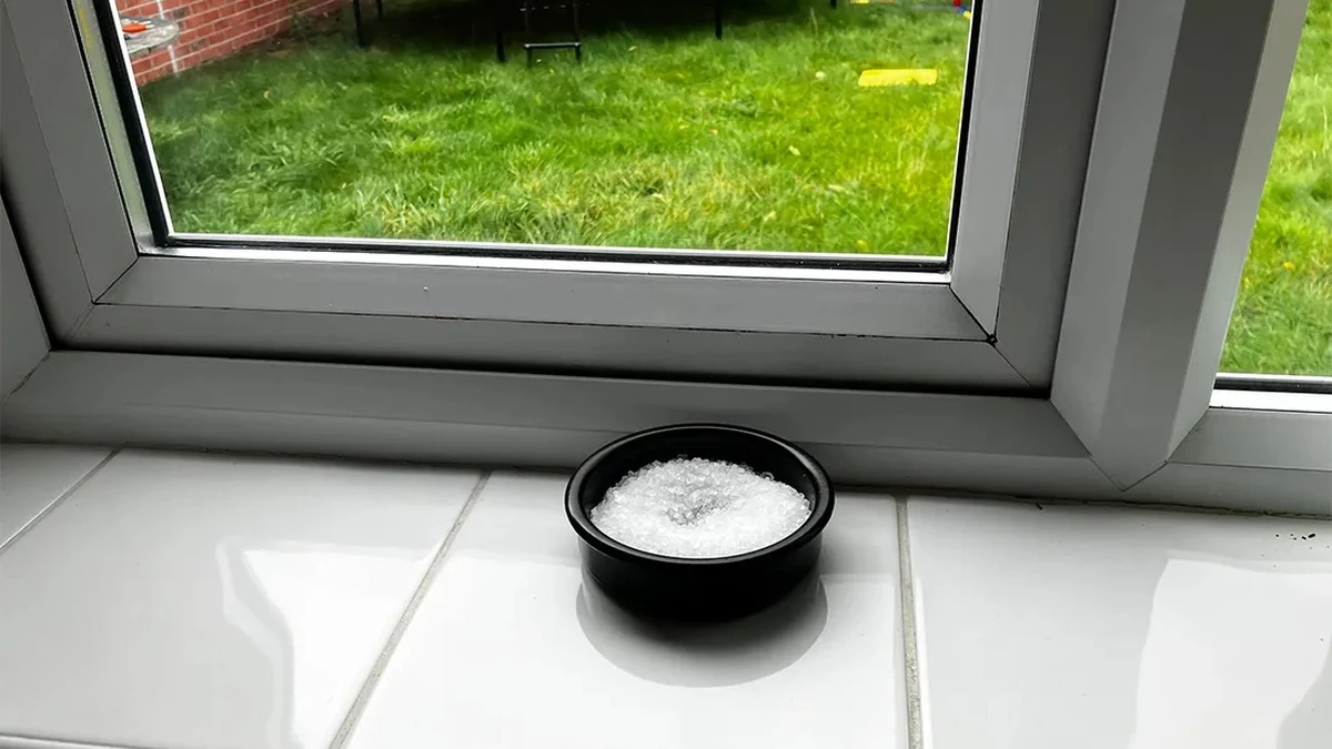 Dlaczego doświadczone gospodynie stawiają miseczkę soli na parapecie - image 1