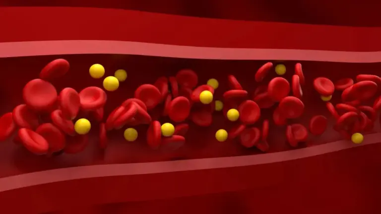 Dlaczego lekarze coraz częściej zalecają kieliszek czerwonego wina i tłuste ryby