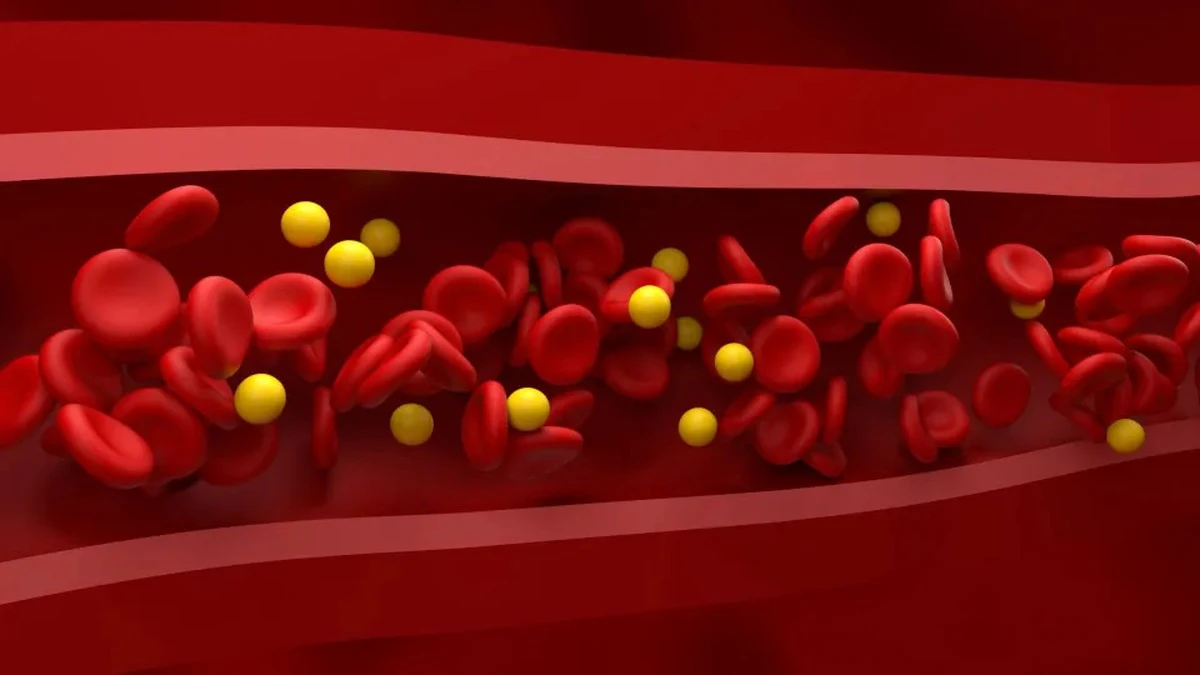 Dlaczego lekarze coraz częściej zalecają kieliszek czerwonego wina i tłuste ryby