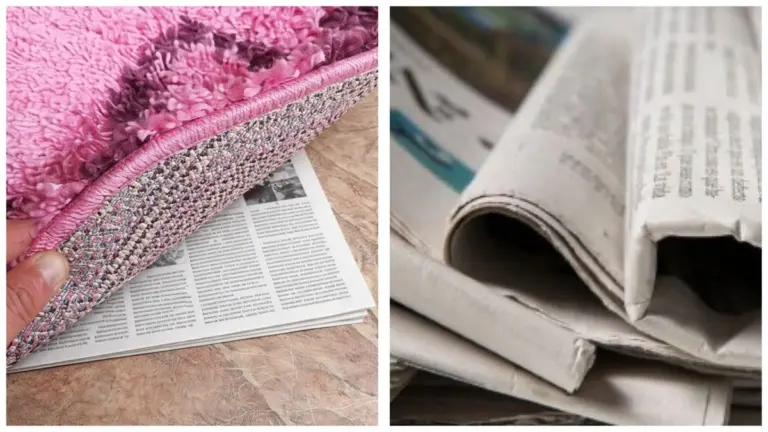 Dlaczego warto położyć stare gazety pod dywan przed nadchodzącą zimą