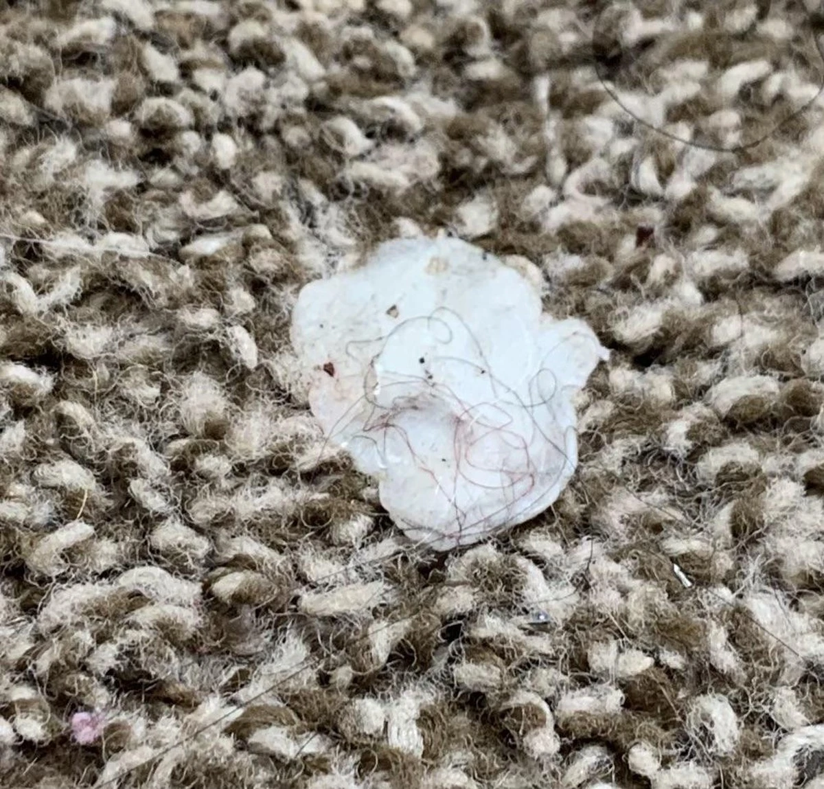 Dlaczego warto trzymać bezbarwną pomadkę w szafce z detergentami - image 1