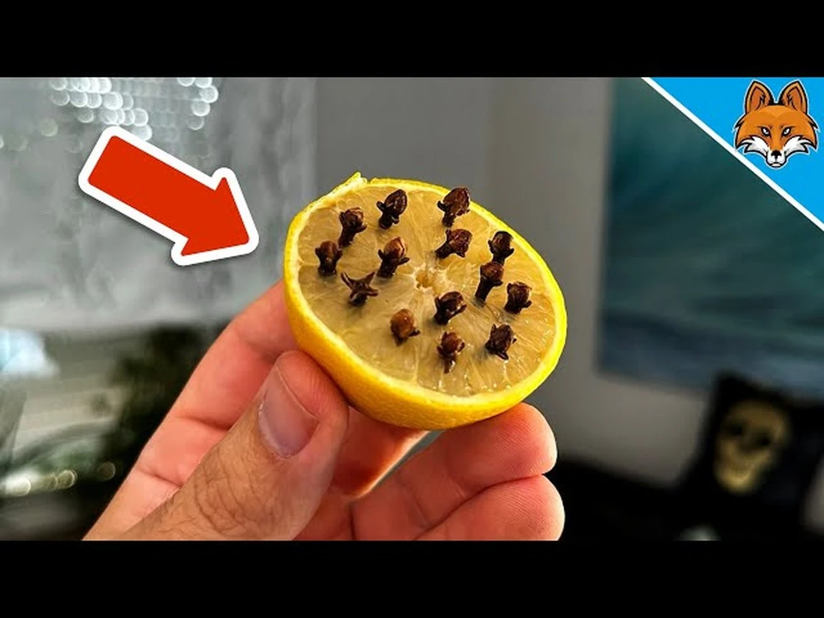 Dlaczego warto wbić kilka goździków w cytrynę i położyć ją na parapecie - image 1