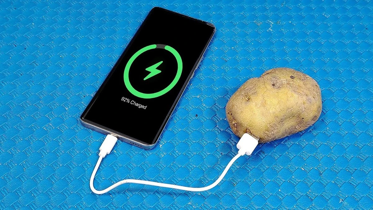 Ten trik z ziemniakiem i folią: dlaczego Polacy masowo go testują? - image 1