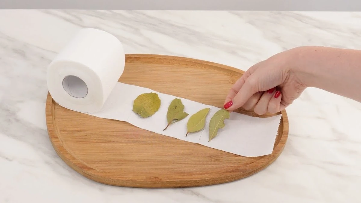 Dlaczego doświadczone gospodynie zawsze wieszają kawałek rajstop w łazience - image 1