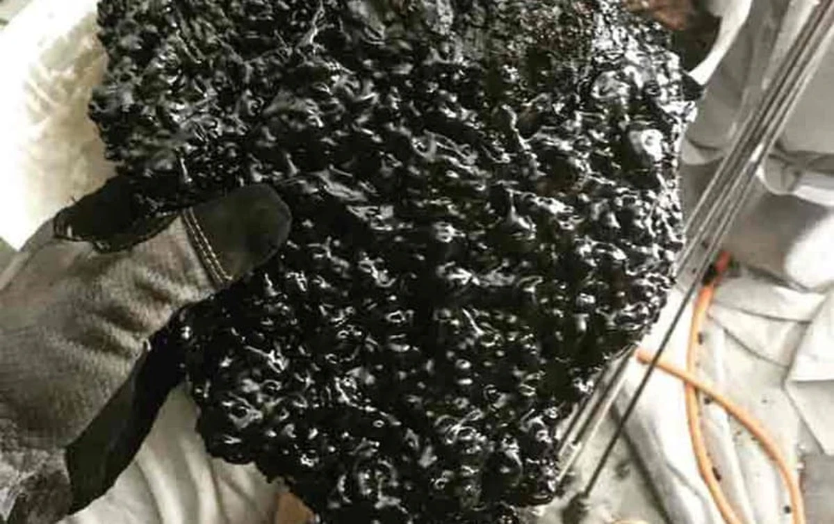 Dlaczego doświadczeni zduni wsypują specyficzny proszek do pieca zamiast obierków ziemniaków - image 1