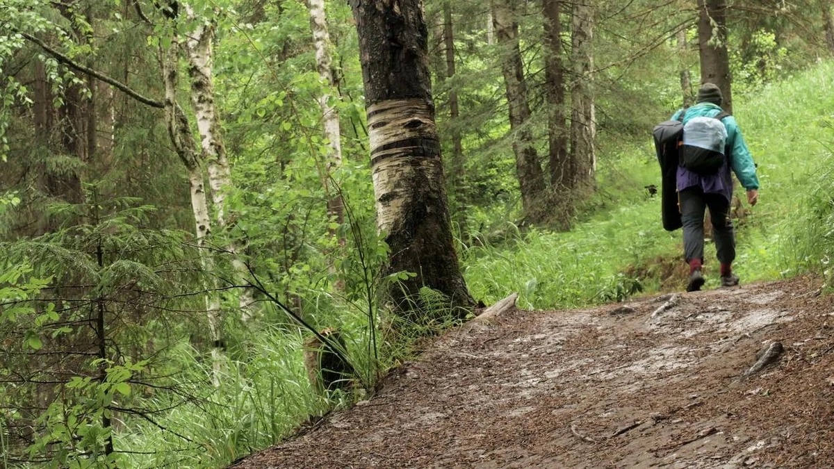 Dlaczego kardiolodzy zawsze pytają o to, czy spacerujesz po obiedzie - image 1