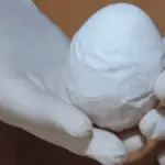 Dlaczego kury niosą miękkie jajka bez skorupki i jak jeden składnik zmienił wszystko