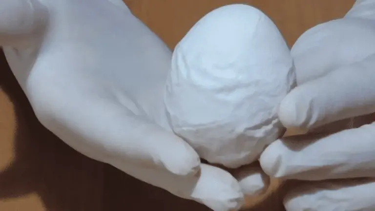 Dlaczego kury niosą miękkie jajka bez skorupki i jak jeden składnik zmienił wszystko