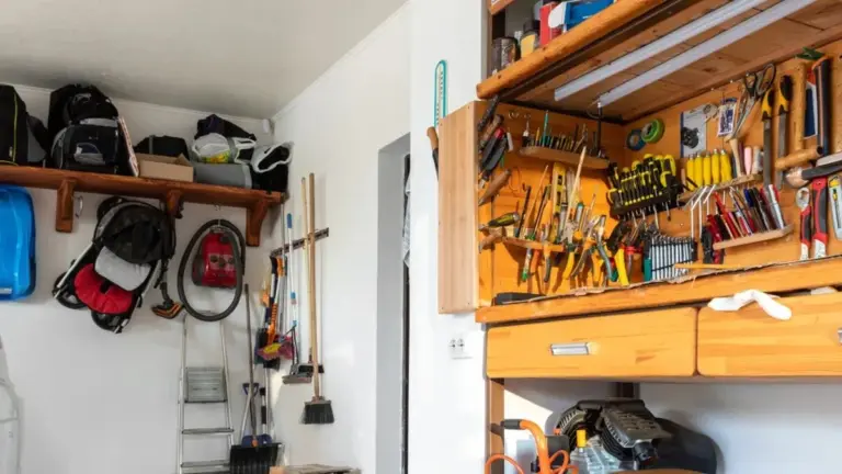 Dlaczego lepiej nie trzymać ubrań i jedzenia w garażu podczas polskiej jesieni