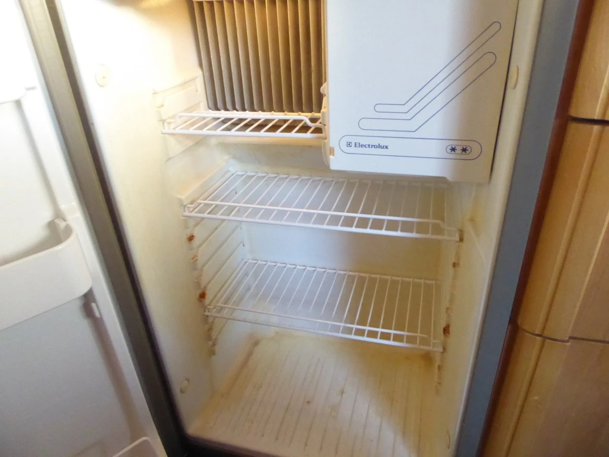 Dlaczego profesjonalne ekipy sprzątające zawsze dodają utleniacz w żelu do mycia lodówki - image 1