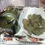 Dlaczego szefowie kuchni trzymają liście laurowe w zamrażarce zamiast w szafce