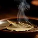 Dlaczego warto spalić liść laurowy w te cztery dni marca