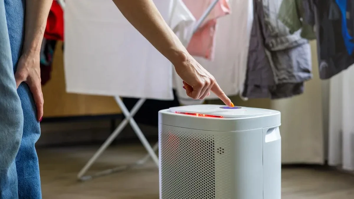 Dlaczego warto włączać osuszacz powietrza akurat o tej godzinie