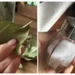 Dlaczego warto wrzucić trzy zmielone liście laurowe do słoika z solą