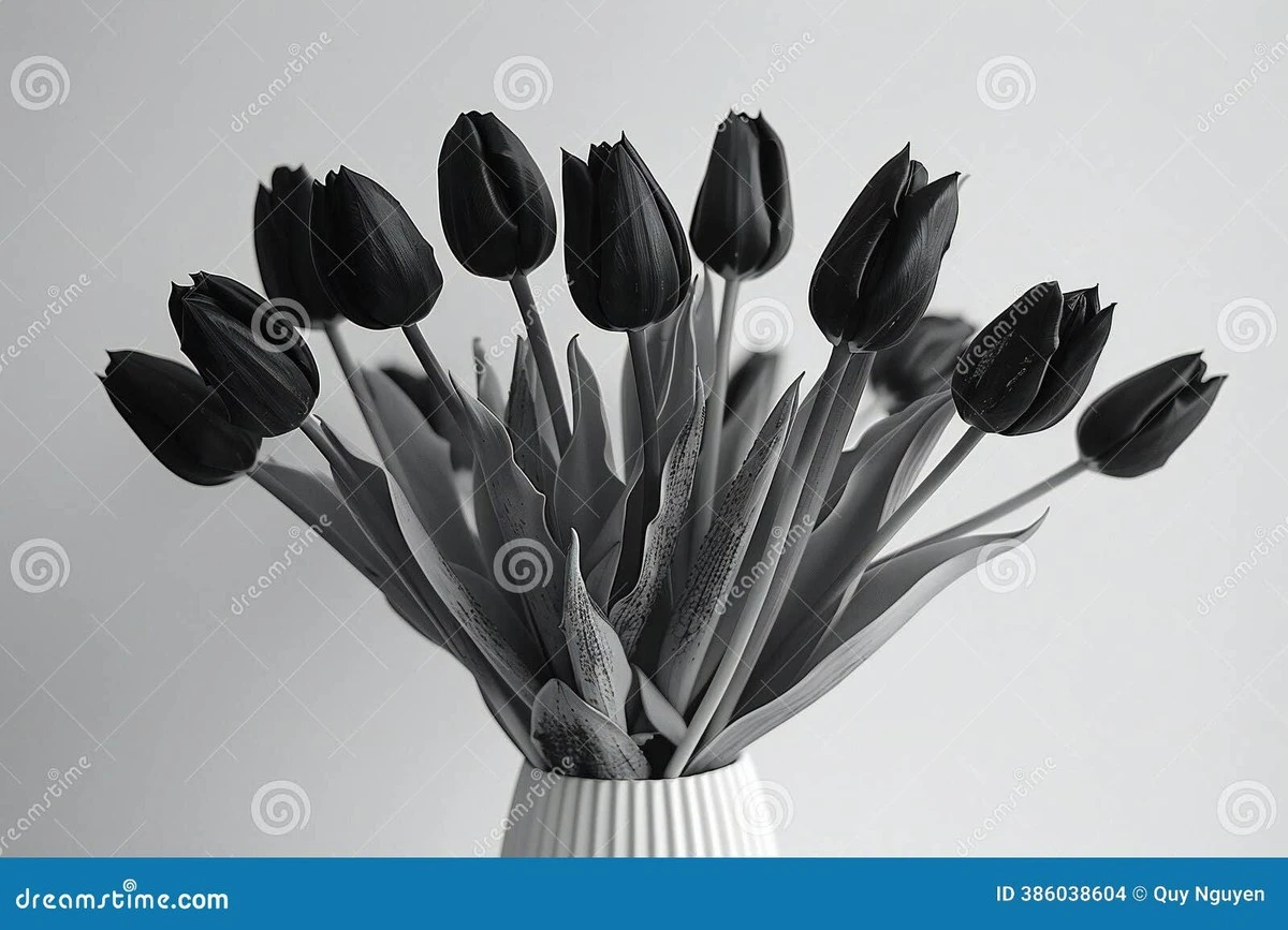 Dlaczego warto wrzucić tabletkę węgla aktywnego do wazy z tulipanami - image 1