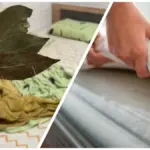 Dlaczego zawsze kładę 7 liści laurowych pod materacem w każdą sobotę